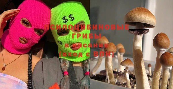 гашиш Горнозаводск
